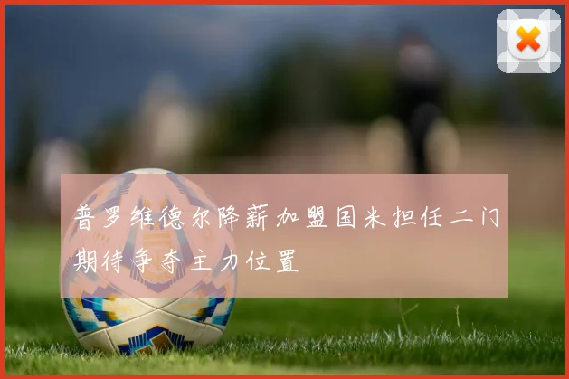 普罗维德尔降薪加盟国米担任二门期待争夺主力位置